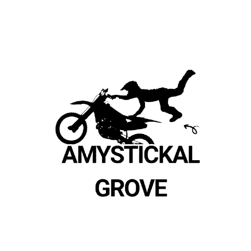 amystickalgrove.com | บิ๊กไบค์ รุ่นยอดฮิตสำหรับมือใหม่เริ่มขี่คันแรก